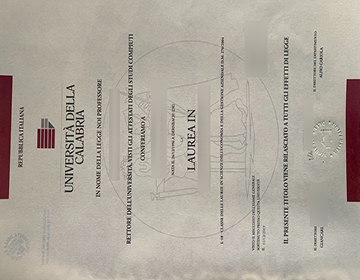 Reasons to order a Università della Calabria laurea
