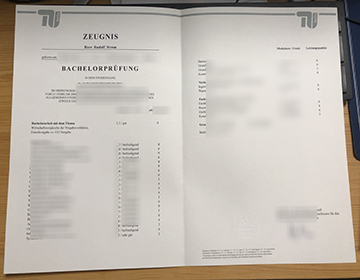 Rules For Making Technische Universität Berlin Urkunde und Zeugnis