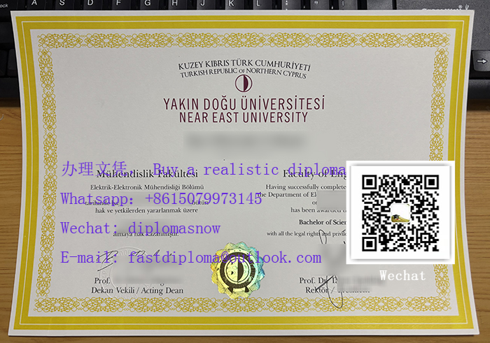 Yakın Doğu Üniversitesi BSc degree