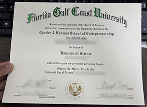 Reliable websites for ordering FGCU degree
