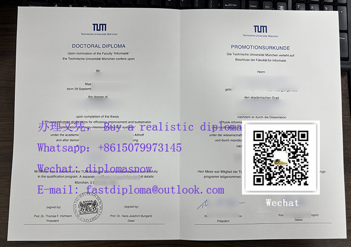 TU Munich Urkunde，慕尼黑工业大学文凭