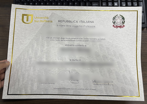 Principles for making a Università telematica San Raffaele diploma