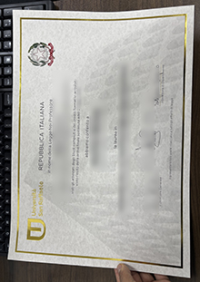 Principles for making a Università telematica San Raffaele diploma